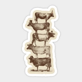 Cow Cow Nuts Sticker